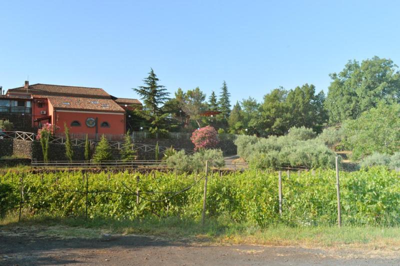 Agriturismo Kikajon Linguaglossa Exteriér fotografie